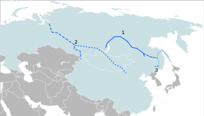 Россия и Монголия согласовали долгосрочное сотрудничество по проекту газопровода «Союз – Восток»