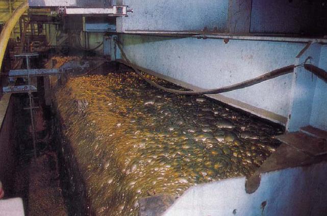 «Солонеченское» выберет проектировщика ГОКа для добычи 250 тыс. тонн руды в год