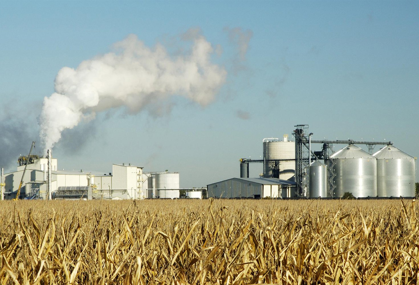Строительство завода по глубокой переработке пшеницы за 8,5 млрд рублей